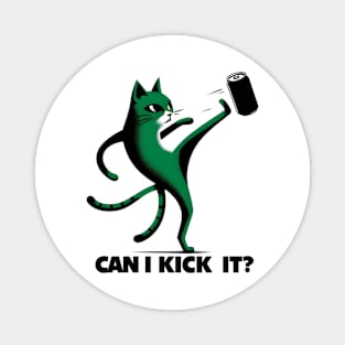 can i kick it - cats Magnet